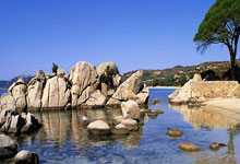 Karsa新星最后时刻胜出表现突出，G2前途光明！