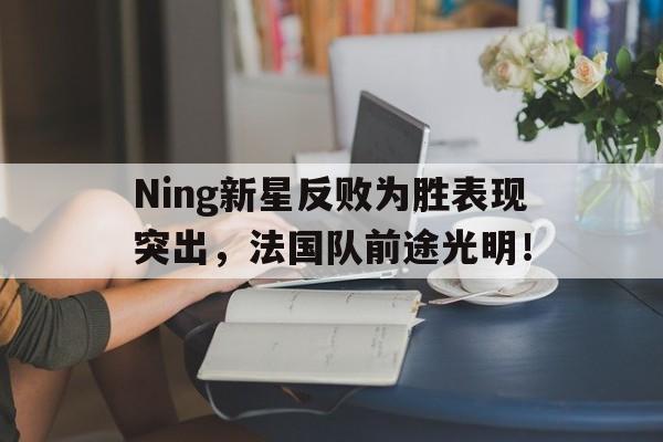 Ning新星反败为胜表现突出，法国队前途光明！的简单介绍